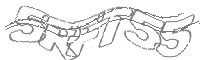 Check code